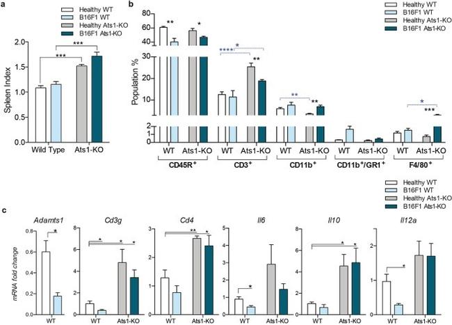 CD3e Antibody in Flow Cytometry (Flow)