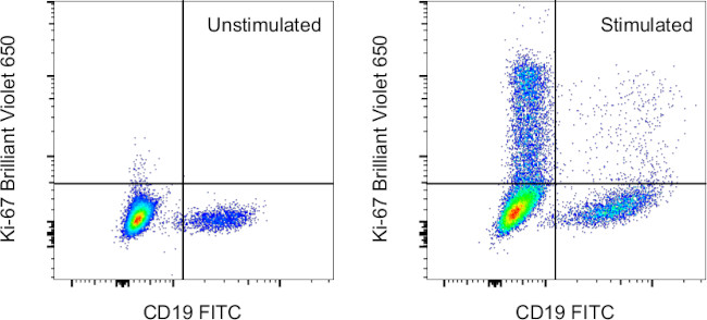 Ki-67 Antibody in Flow Cytometry (Flow)