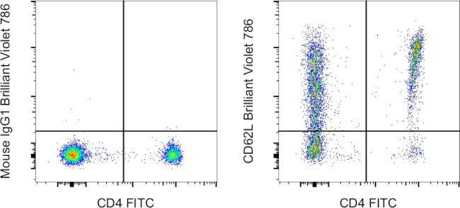 CD62L (L-Selectin) Antibody in Flow Cytometry (Flow)