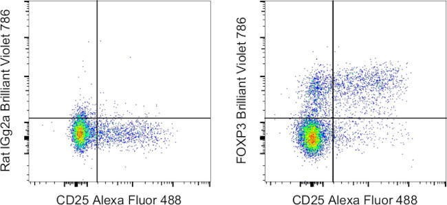 FOXP3 Antibody in Flow Cytometry (Flow)