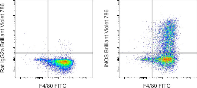 iNOS Antibody in Flow Cytometry (Flow)