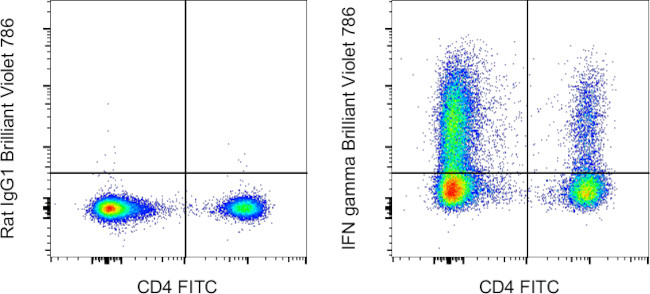 IFN gamma Antibody in Flow Cytometry (Flow)