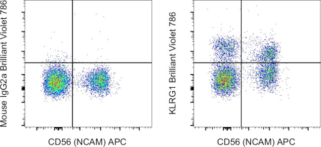 KLRG1 Antibody in Flow Cytometry (Flow)