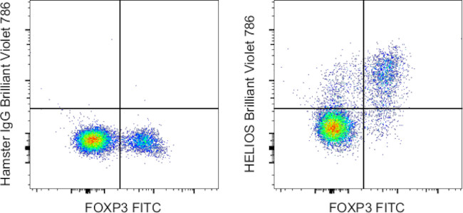 HELIOS Antibody in Flow Cytometry (Flow)