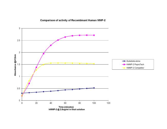 Human MMP-2 Protein in Functional Assay (FN)