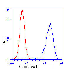 Complex I Antibody in Flow Cytometry (Flow)