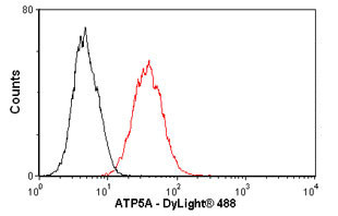 ATP5A1 Antibody in Flow Cytometry (Flow)