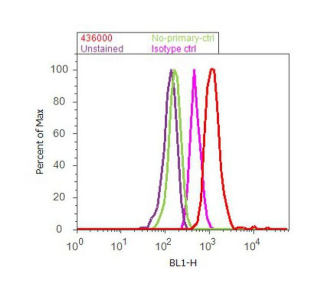 MMP2 Antibody in Flow Cytometry (Flow)