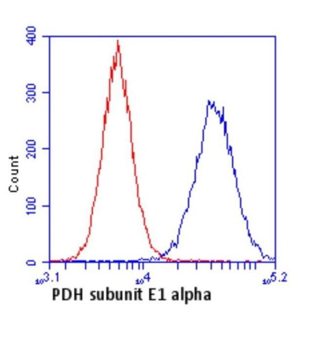 PDHA1 Antibody in Flow Cytometry (Flow)