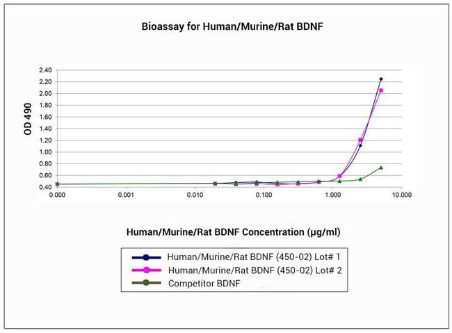 Human/Mouse/Rat BDNF Protein in Functional Assay (Functional)