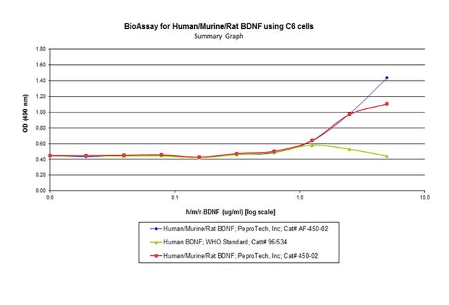 Human/Mouse/Rat BDNF Protein in Functional Assay (Functional)