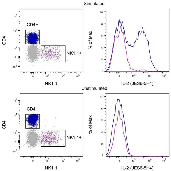 IL-2 Antibody