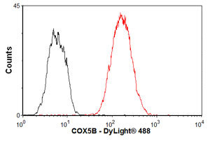 COX5B Antibody in Flow Cytometry (Flow)