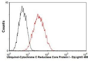 UQCRC1 Antibody in Flow Cytometry (Flow)