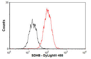 SDHB Antibody in Flow Cytometry (Flow)