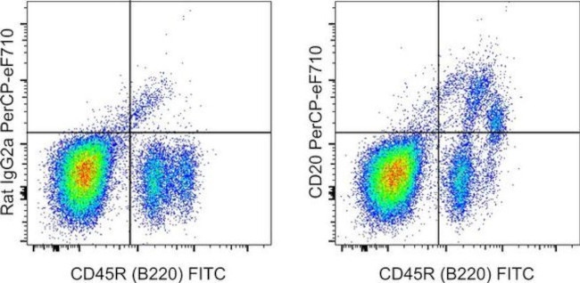 CD20 Antibody in Flow Cytometry (Flow)