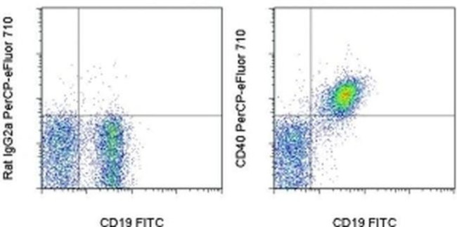 CD40 Antibody in Flow Cytometry (Flow)