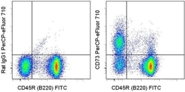 CD73 Antibody in Flow Cytometry (Flow)