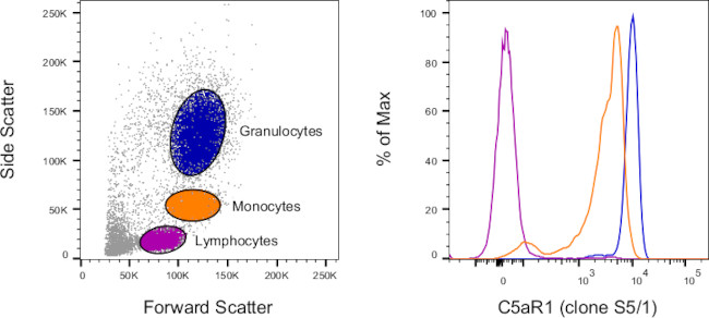 CD88 (C5aR1) Antibody