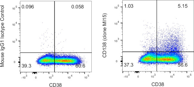 CD138 (Syndecan-1) Antibody