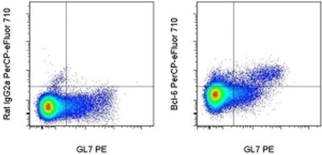 BCL6 Antibody in Flow Cytometry (Flow)