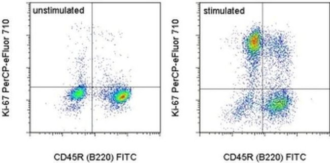 Ki-67 Antibody in Flow Cytometry (Flow)