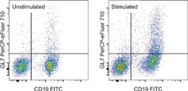 GL7 Antibody in Flow Cytometry (Flow)