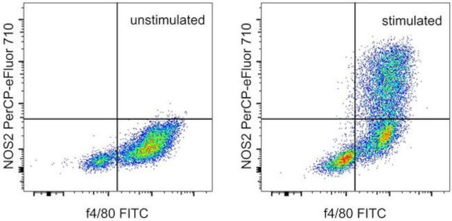 iNOS Antibody in Flow Cytometry (Flow)