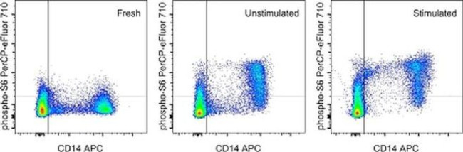 Phospho-S6 (Ser235, Ser236) Antibody in Flow Cytometry (Flow)