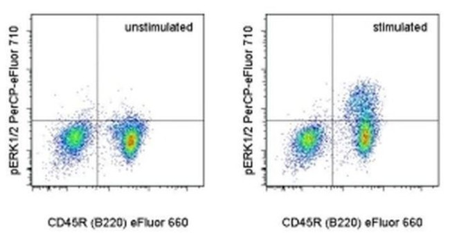 Phospho-ERK1/2 (Thr202, Tyr204) Antibody in Flow Cytometry (Flow)