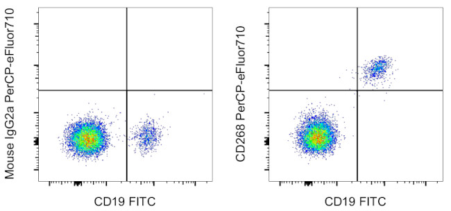 CD268 (BAFF Receptor) Antibody in Flow Cytometry (Flow)