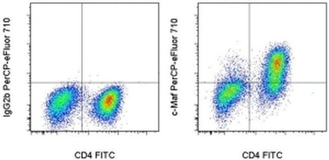 c-MAF Antibody in Flow Cytometry (Flow)