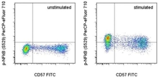 Phospho-NFkB p65 (Ser529) Antibody in Flow Cytometry (Flow)