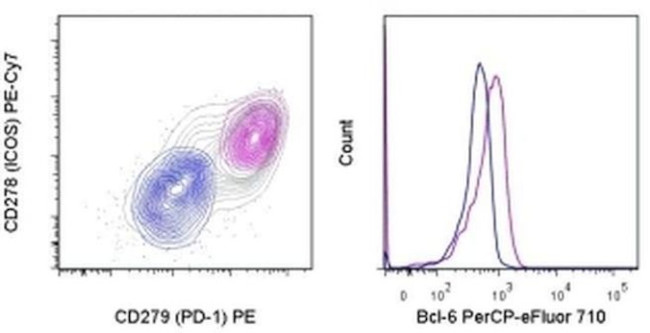 BCL6 Antibody in Flow Cytometry (Flow)