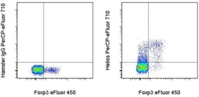 HELIOS Antibody in Flow Cytometry (Flow)