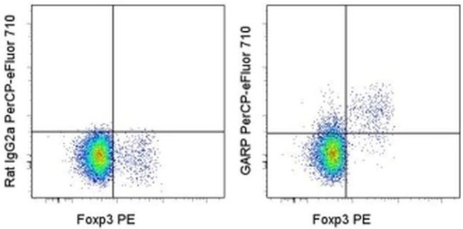 GARP Antibody in Flow Cytometry (Flow)