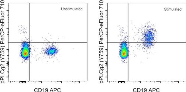 Phospho-PLCG2 (Tyr759) Antibody in Flow Cytometry (Flow)