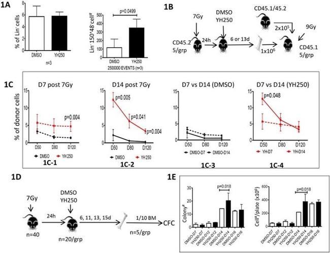 CD48 Antibody in Flow Cytometry (Flow)