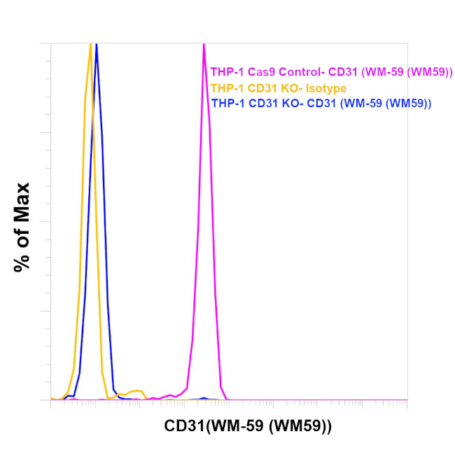 CD31 (PECAM-1) Antibody