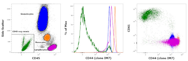 CD44 Antibody