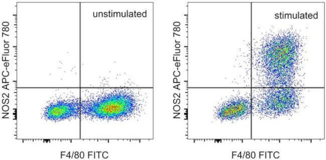 iNOS Antibody in Flow Cytometry (Flow)