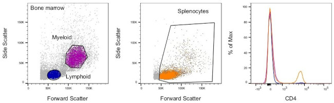 CD4 Antibody