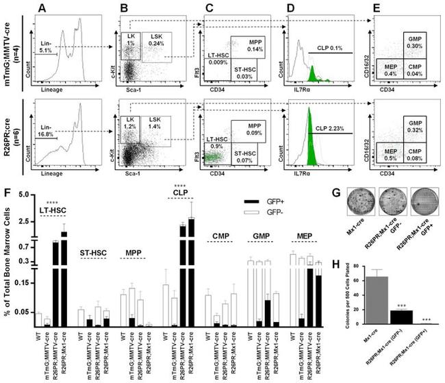 CD34 Antibody in Flow Cytometry (Flow)