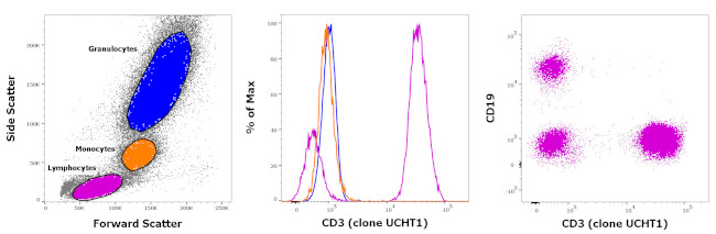 CD3 Antibody