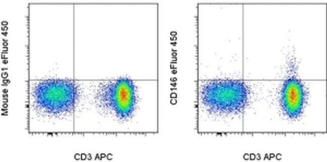 CD146 Antibody in Flow Cytometry (Flow)