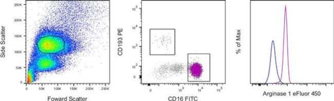 Arginase 1 Antibody in Flow Cytometry (Flow)