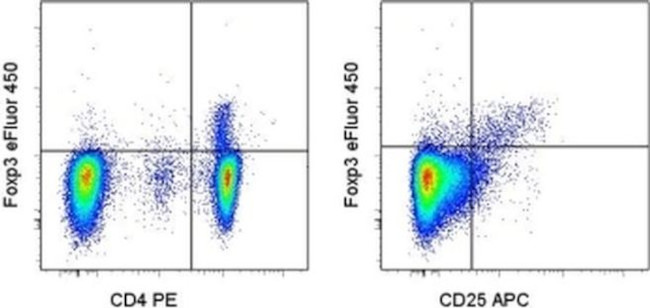 FOXP3 Antibody in Flow Cytometry (Flow)