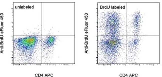 BrdU Antibody in Flow Cytometry (Flow)