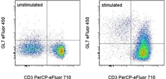 GL7 Antibody in Flow Cytometry (Flow)