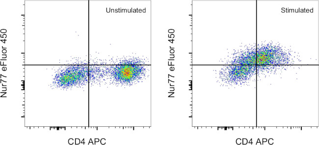 Nur77 Antibody in Flow Cytometry (Flow)